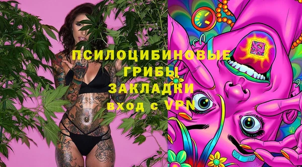 бутират Козловка