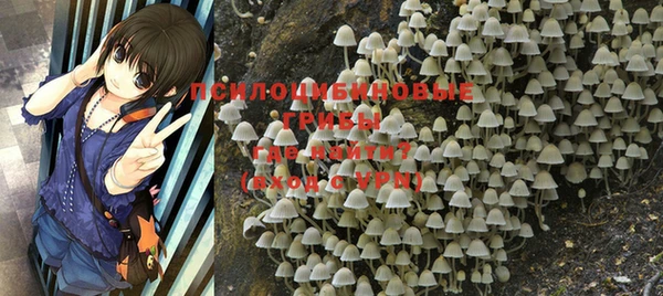 бутират Козловка